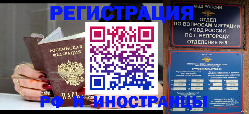 прописка в Элисте